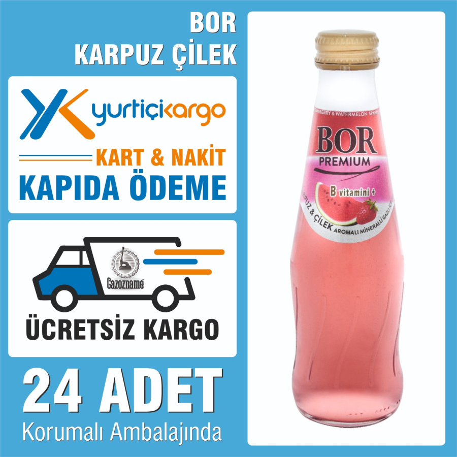 Bor Karpuz Çilek 200 ml (24 adet)