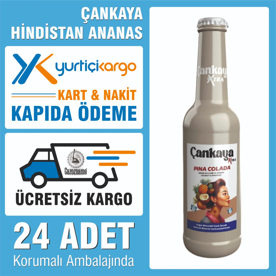 Çankaya Hindistan Ceviz & Ananas 250 ml(24 adet)