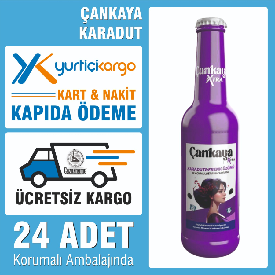 Çankaya Karadut & Frenk Üzümü 250 ml (24 adet)