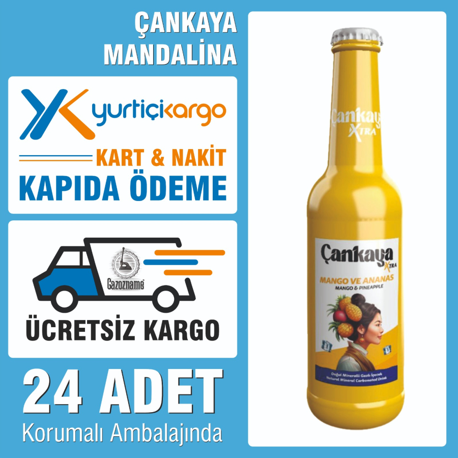 4*6 Çankaya Mandalina 250 ml (24 adet)