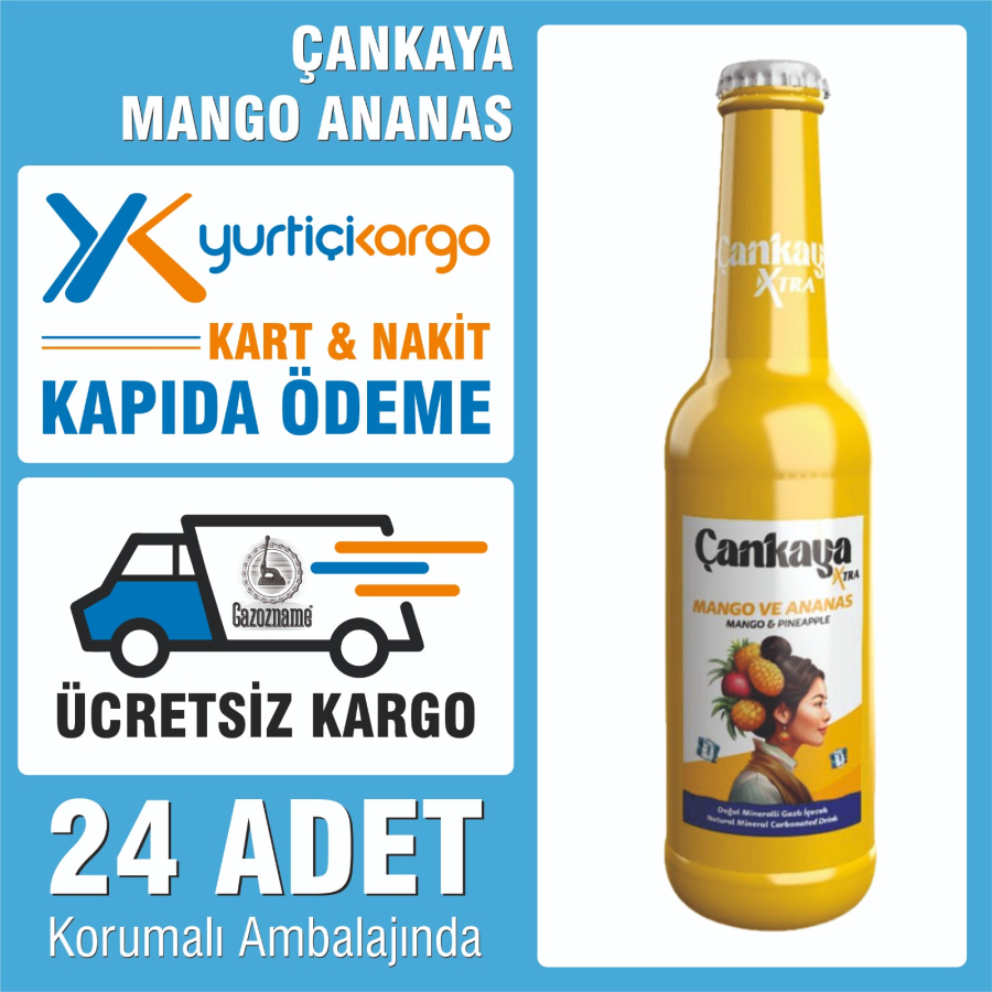 Çankaya Mango Ananas 250 ml (24 adet)