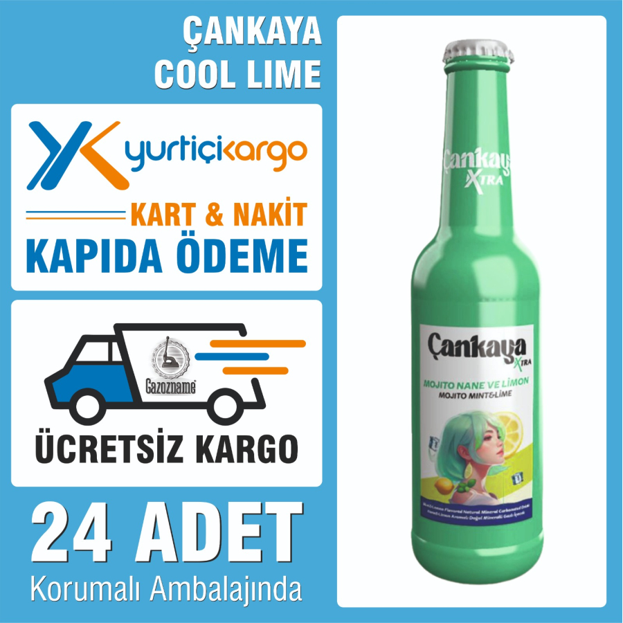 Çankaya Mojito Nane Limon 250 ml (24 adet)