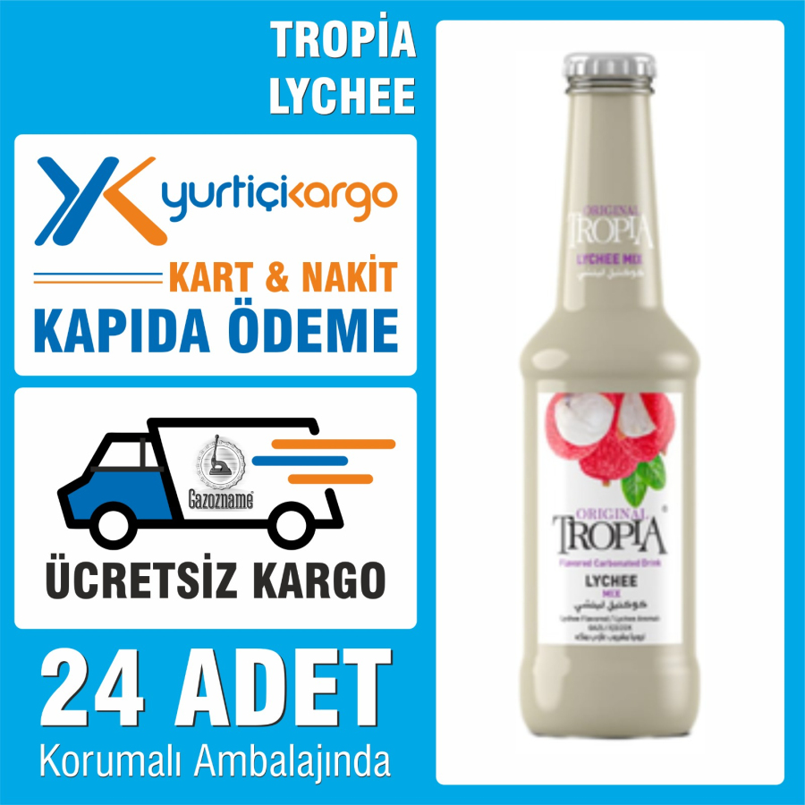 Tropia Lychee 250 ml (24 adet)