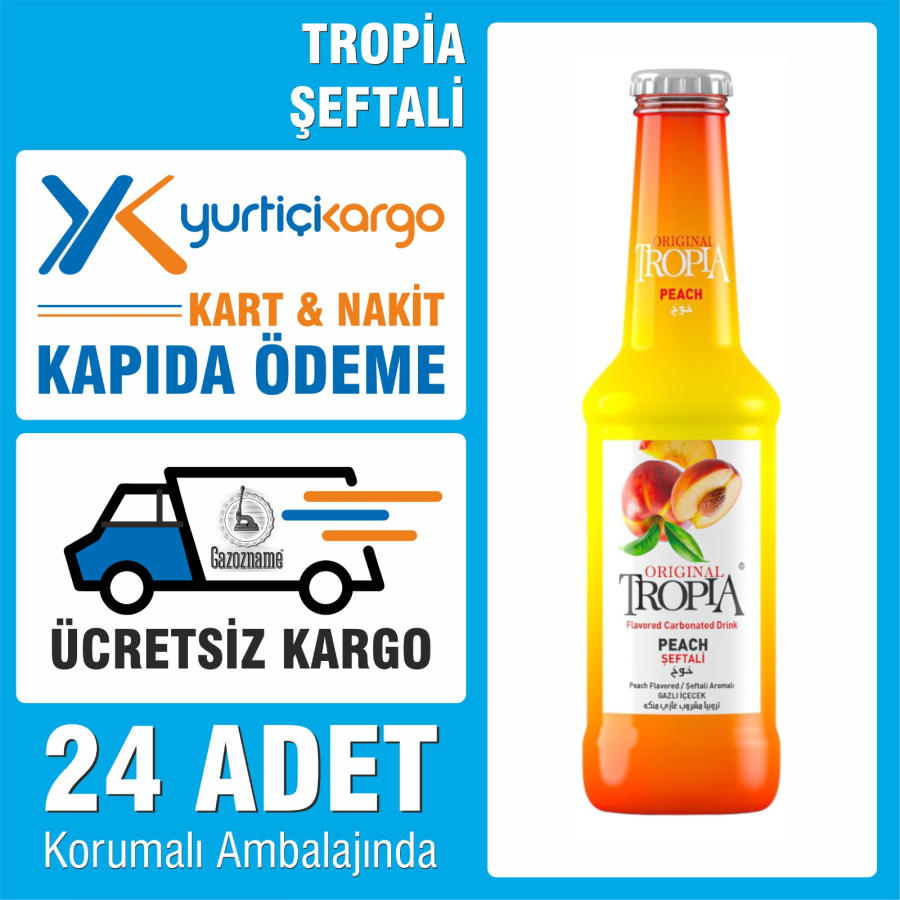 Tropia Şeftali 250 ml (24 adet)