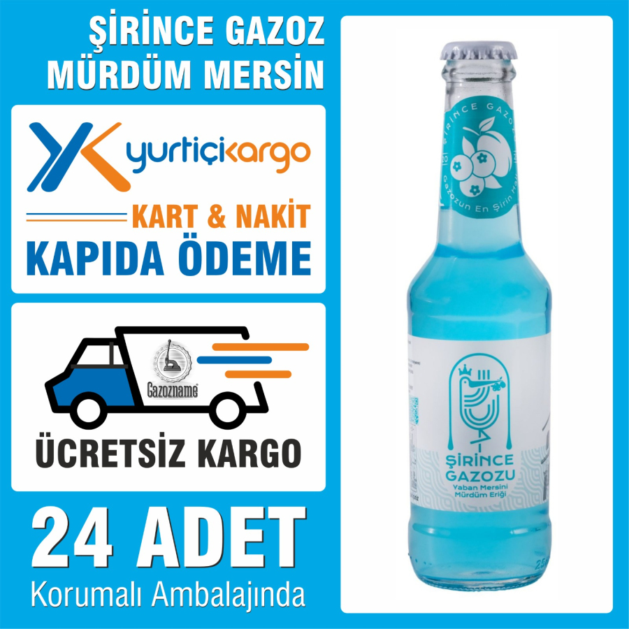 Şirince Gazoz Mürdüm Eriği & Yaban Mersin 250 ml (24 adet)