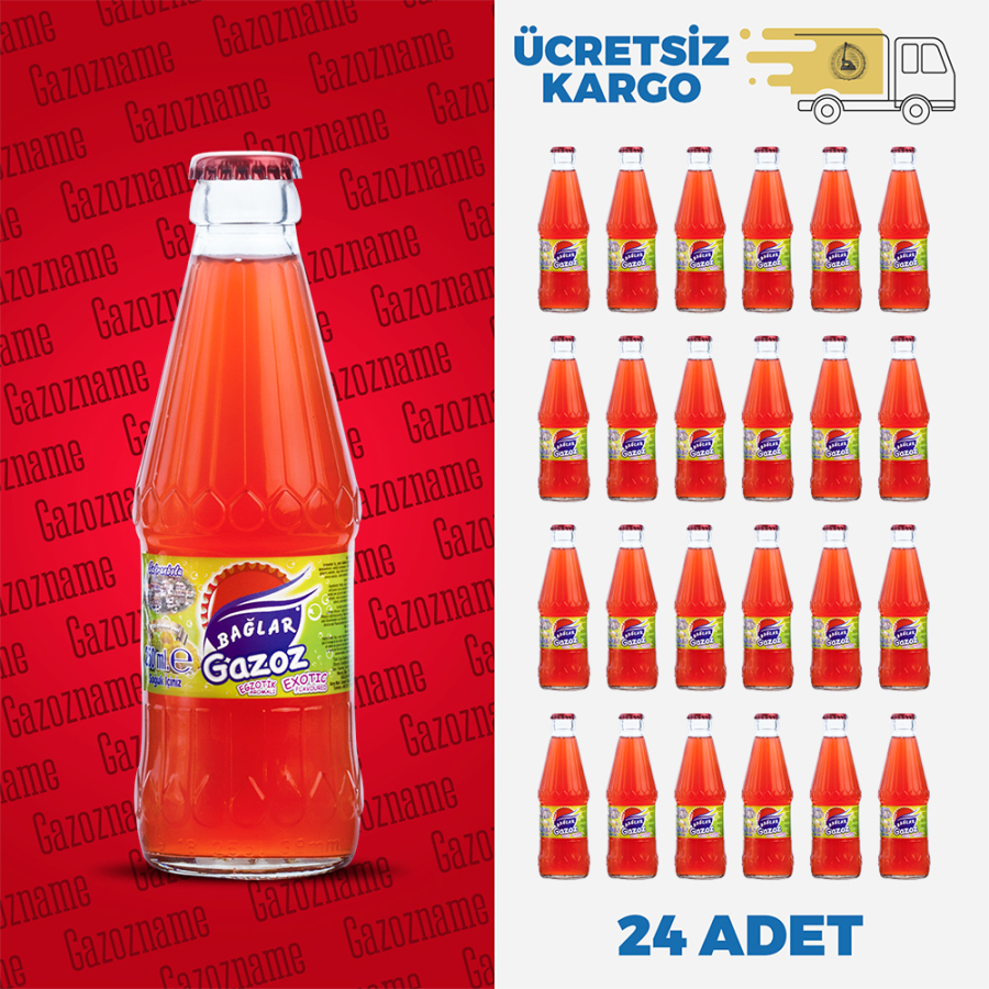 Bağlar Ekzotik 250 ml (24 adet)