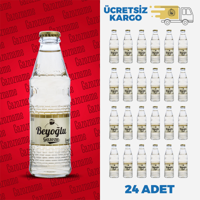 4*6 Beyoğlu Zencefil 250 ml