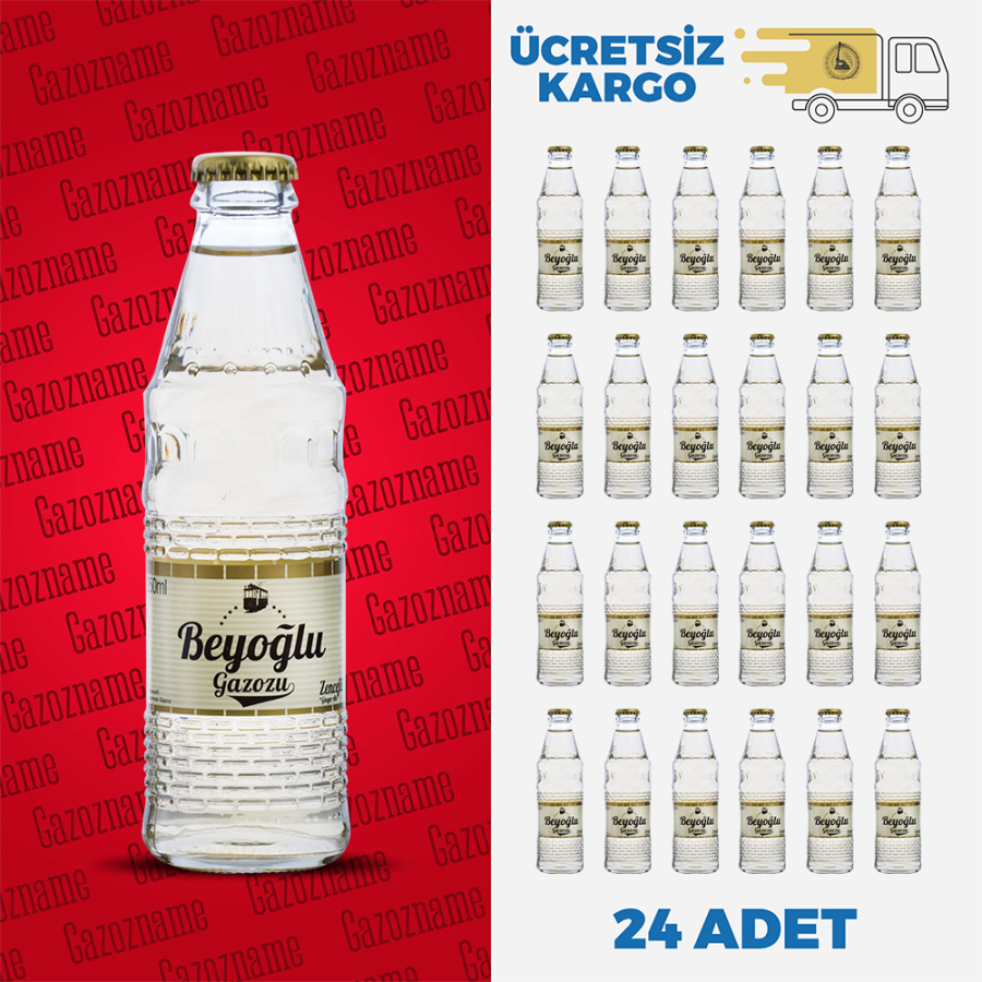 Beyoğlu Zencefil 250 ml (24 adet)