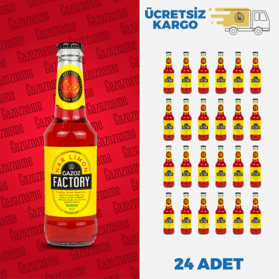 Gazoz Factory Nar & Limon (24 Adet) 250 ml