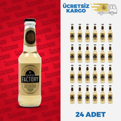 4*6 Gazoz Factory Elma & Zencefil 250 ml
