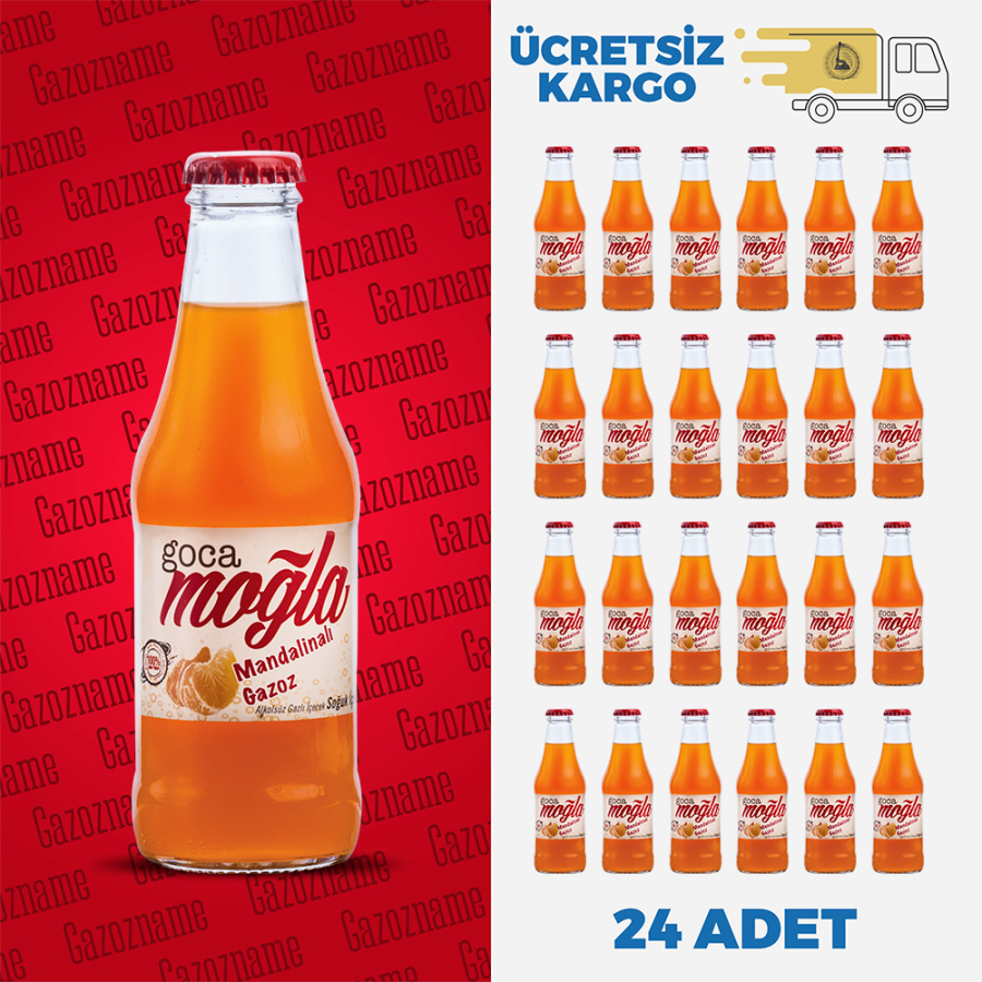 Goca Moğla Mandalina 200 ml (24 adet)