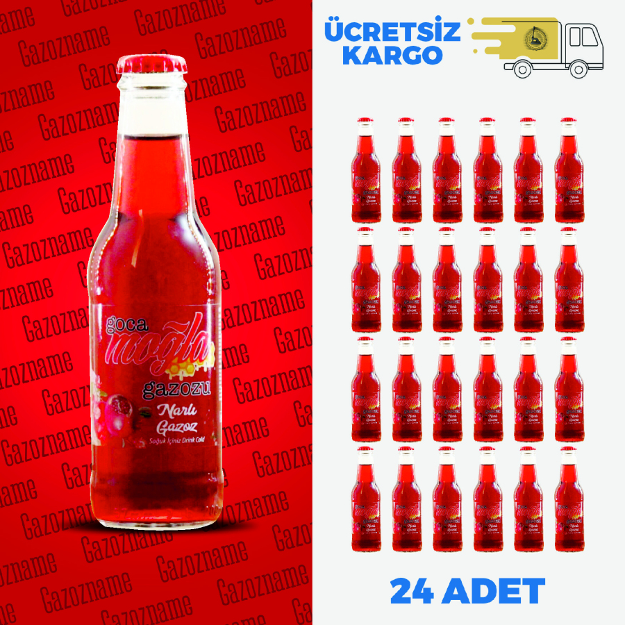 Goca Moğla Nar 200 ml (24 adet)