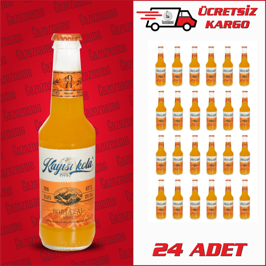 Kayısı Kola Portakal 250 ml (24 adet)