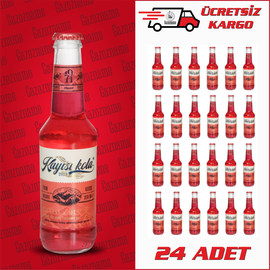 Kayısı Kola Reyhan & Kayısı 250 ml (24 adet)