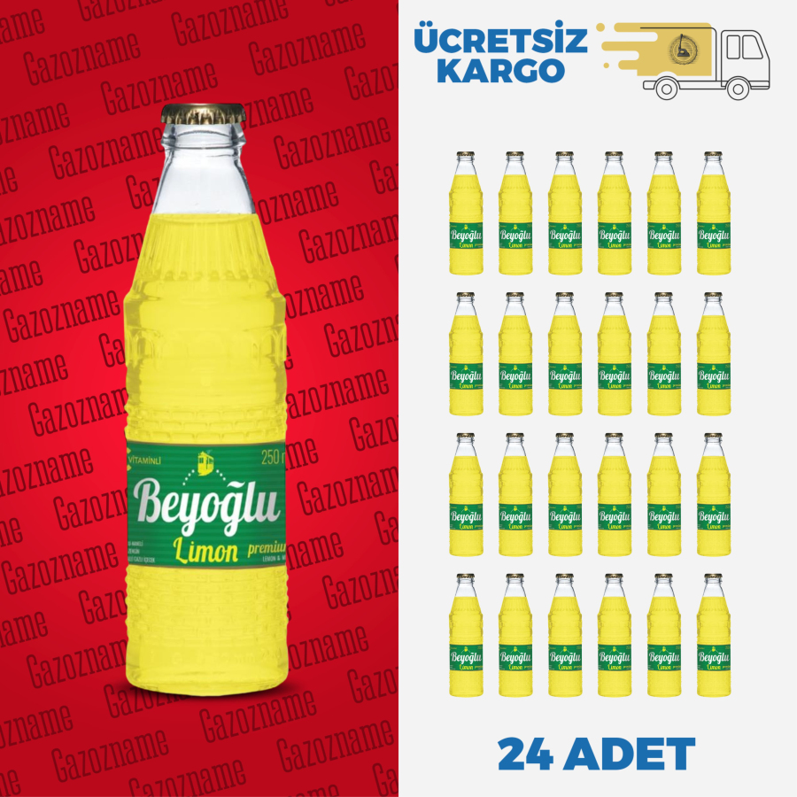 Beyoğlu Limon & Nane 250 ml (24 adet)