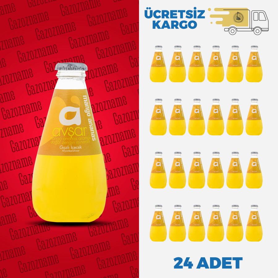 Avşar Mango & Şeftali 200 ml (24 adet)