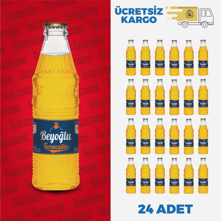 Beyoğlu Turunçgil 250 ml (24 adet)