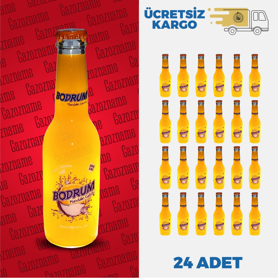 4*6 Bodrum Mandalinalı Gazoz 250 ml