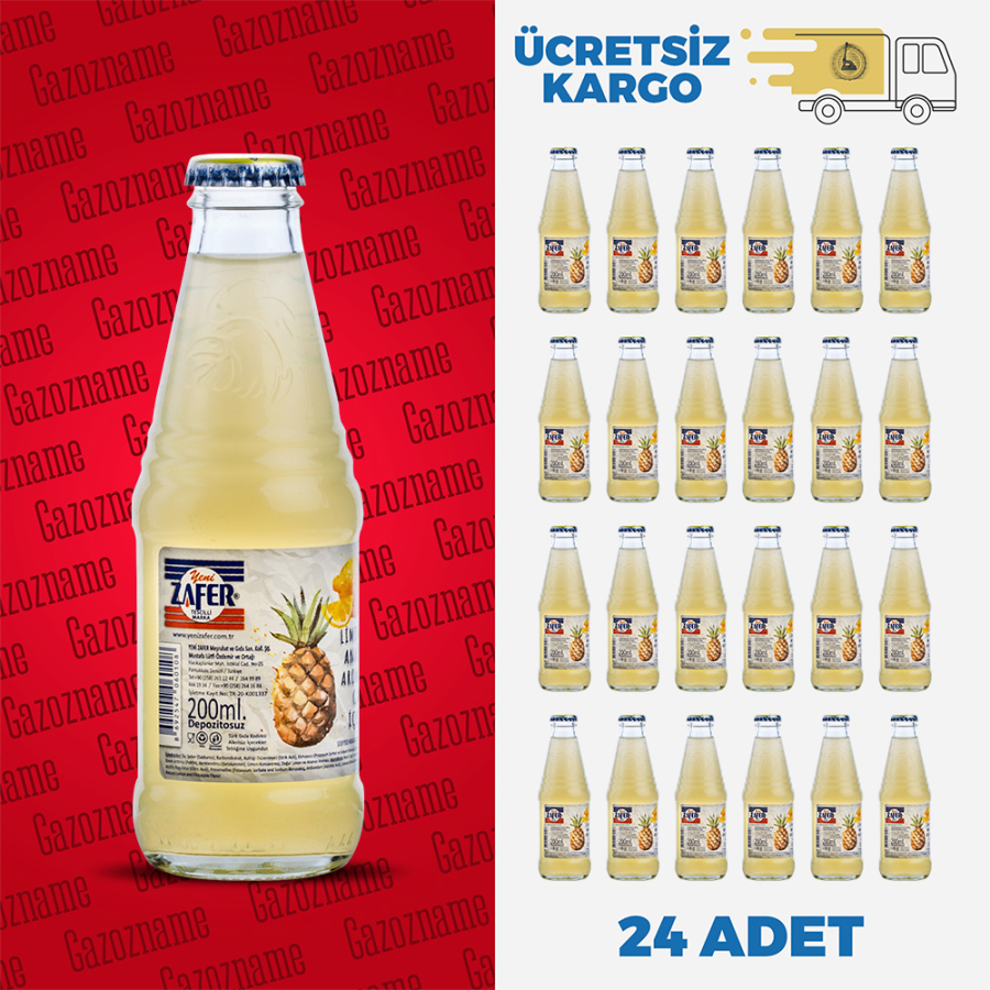 Denizli Limon & Ananas 200 ml (24 adet)