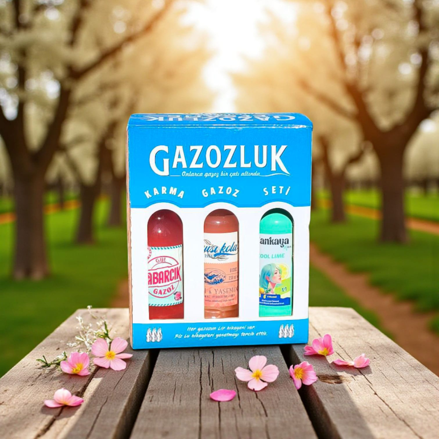 Genç Gazozluk 6'lı Karma Kutu B