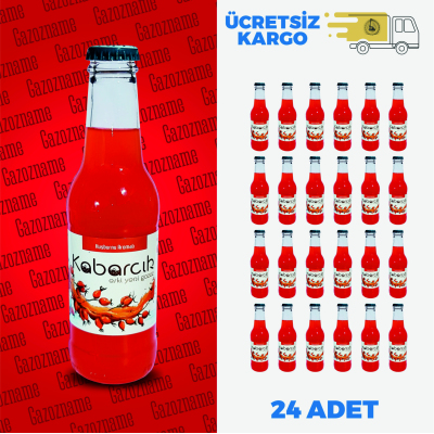 4*6 Kabarcık Kuşburnu 200 ml