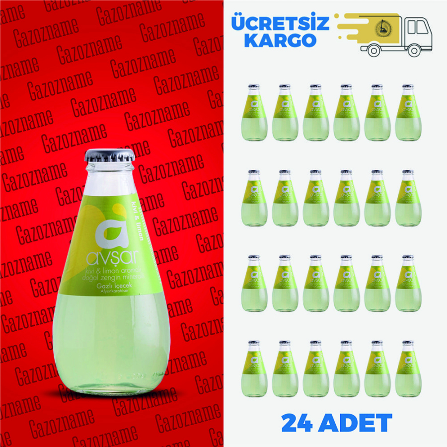 Avşar Limon & Kivi 200 ml (24 adet)